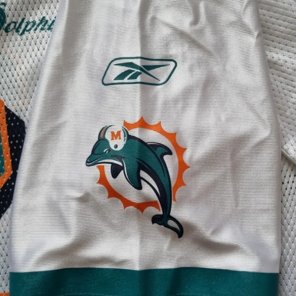 Ronnie Brown Jersey